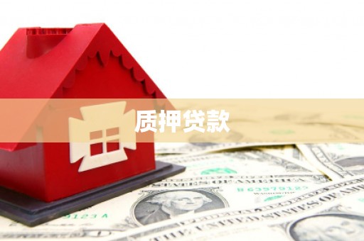 合江质押贷款