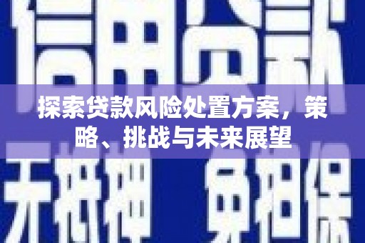 合江探索贷款风险处置方案，策略、挑战与未来展望