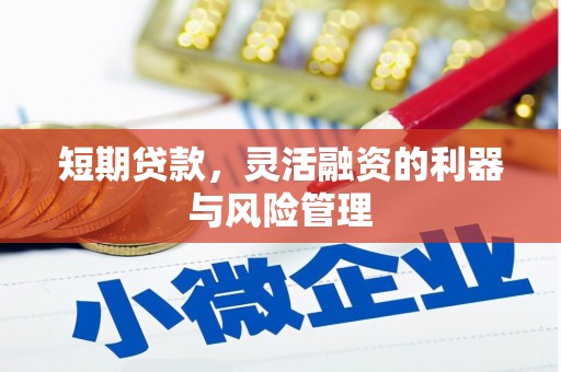 合江短期贷款，灵活融资的利器与风险管理