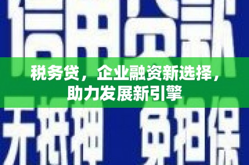 合江税务贷，企业融资新选择，助力发展新引擎