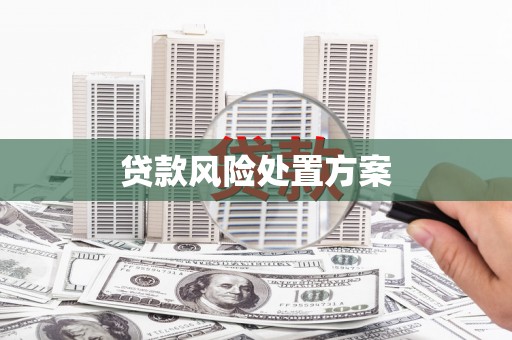 合江贷款风险处置方案
