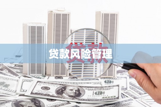 合江贷款风险管理