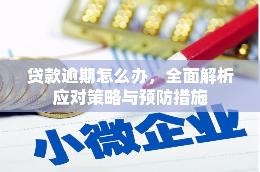 合江贷款逾期怎么办，全面解析应对策略与预防措施
