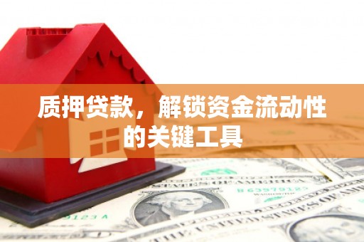 合江质押贷款，解锁资金流动性的关键工具
