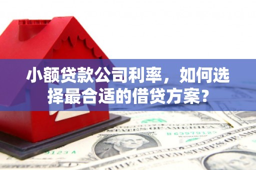合江小额贷款公司利率，如何选择最合适的借贷方案？