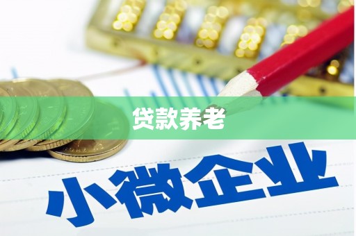 合江贷款养老