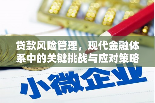 合江贷款风险管理，现代金融体系中的关键挑战与应对策略
