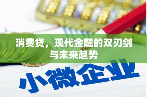 合江消费贷，现代金融的双刃剑与未来趋势